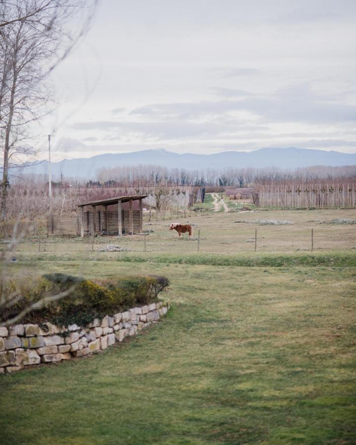 L'Armentera Cuna House מראה חיצוני תמונה